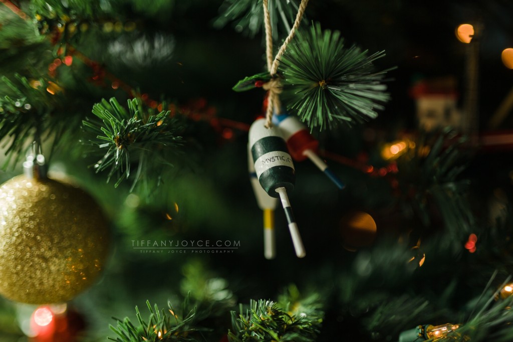 TiffanyJoycePhotography-Christmas2015-3_WEB