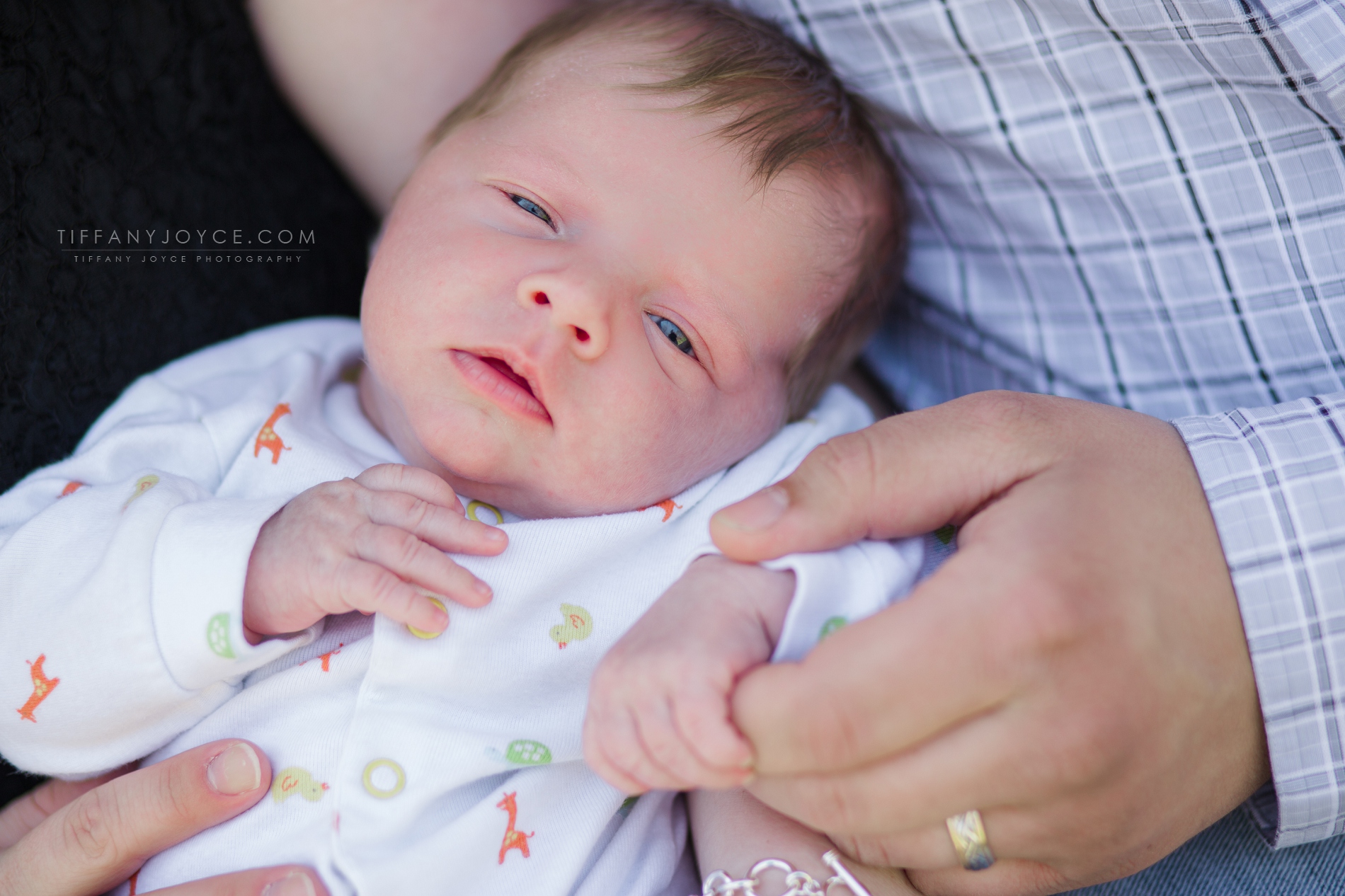 Luke || Virginia Lifestyle Newborn Photographer
